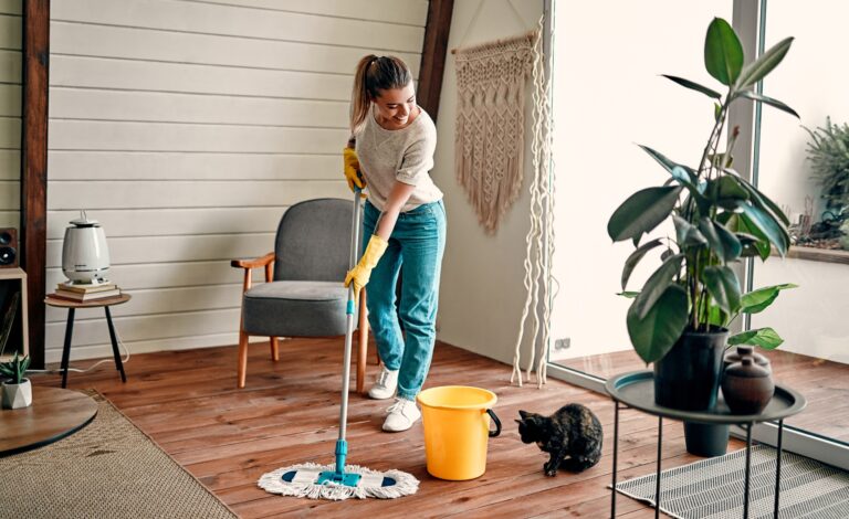 Woman doing house cleaning.